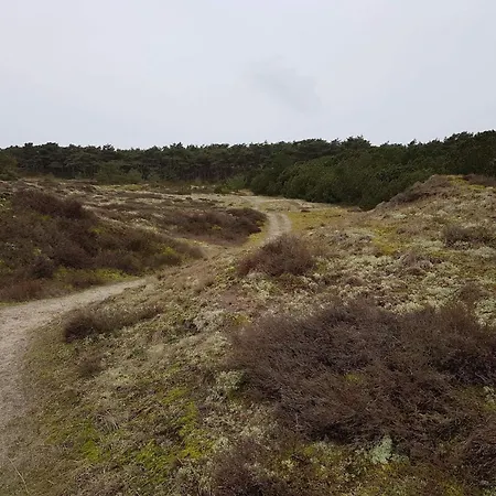 4 Person In Fano-by Traum *