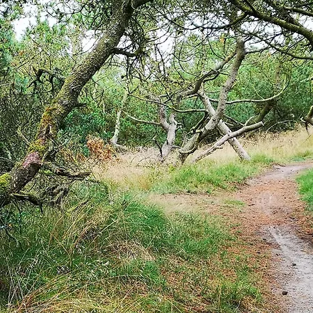 4 Person In Fano-by Traum