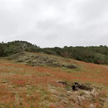 Apartment 4 Person In Fano-by Traum *