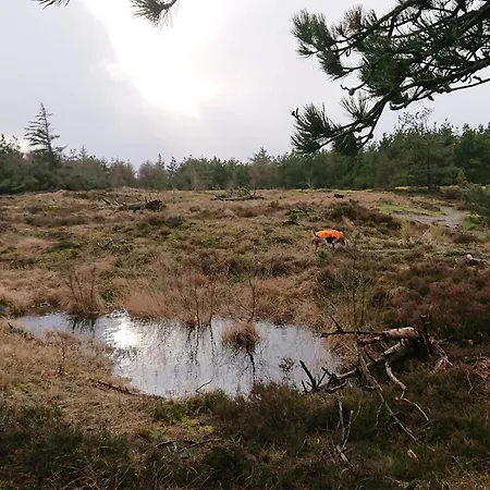 Apartment 4 Person In Fano-by Traum Fano