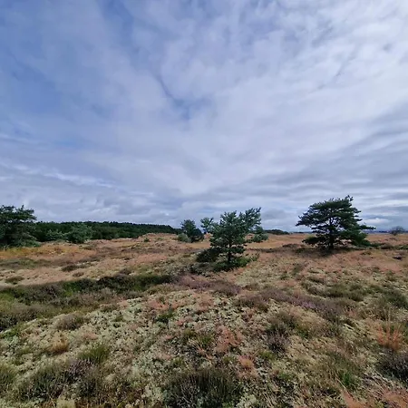 4 Person In Fano-by Traum Fano